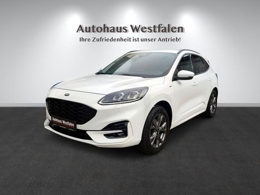 Kuga