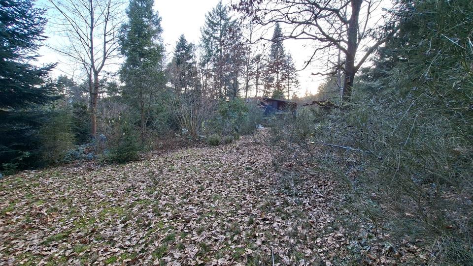 Einfamilienhaus Bad Dürkheim - 106.000&euro; | Angebot:25907624