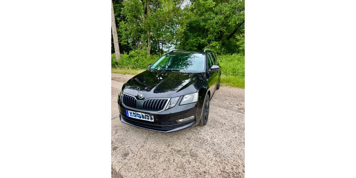 Skoda Octavia 236.500 km 12.300 &euro; Warringholz 25560