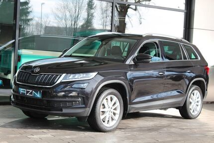 Skoda Kodiaq 166.500 km 22.900 &euro; Chemnitz 09114