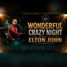 EJT - A Tribute to Elton John / Wonderful Crazy Night 14.11.2026 Kultmans e.V. Kulturmanufaktur im Alten Stemke Werk