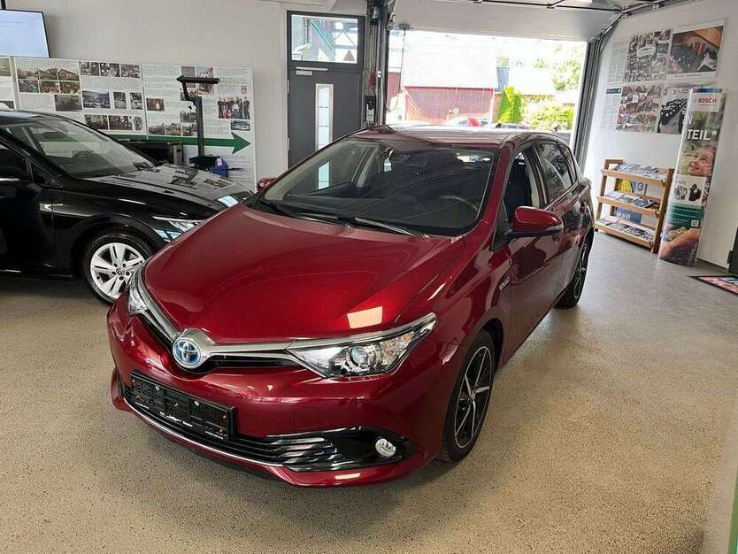 Auris