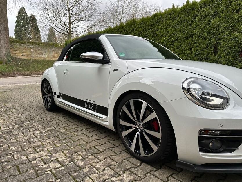 Beetle