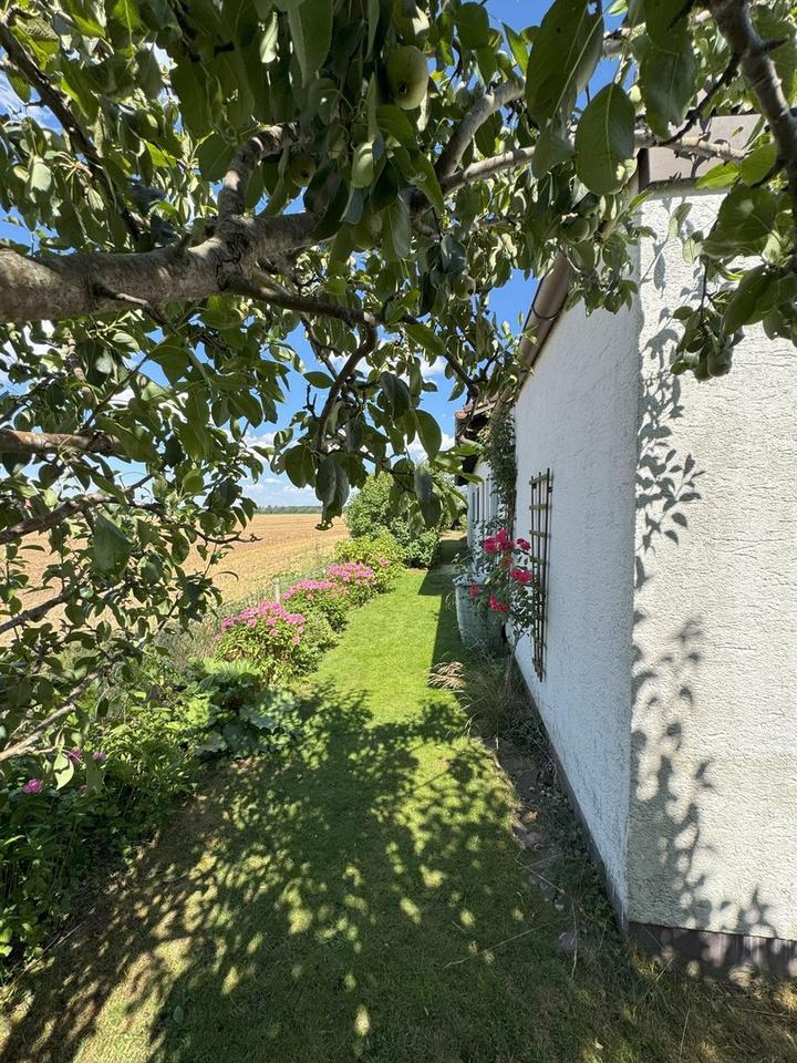 Stilvoller Bungalow mit Garten in ruhiger Lage zur Miete 162 m² Wohnfläche 70m² Souterrain