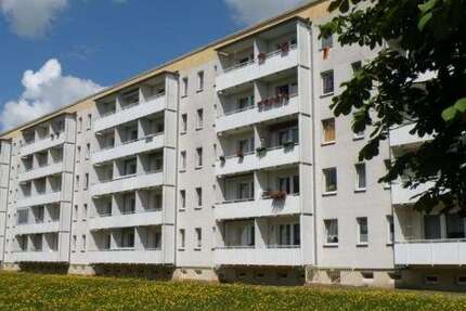 Wohnung zum Mieten in Stralsund 229,11 € 32.73 m² 1 zimmer