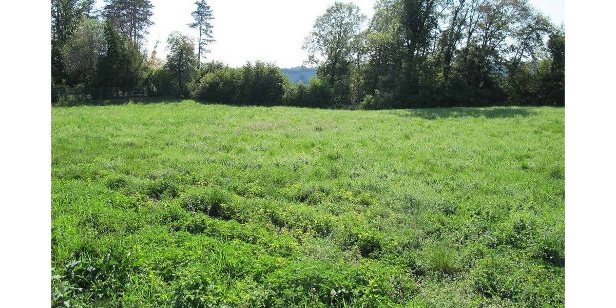 Grundstück Burghausen - 988.000&euro; | Angebot:25663505