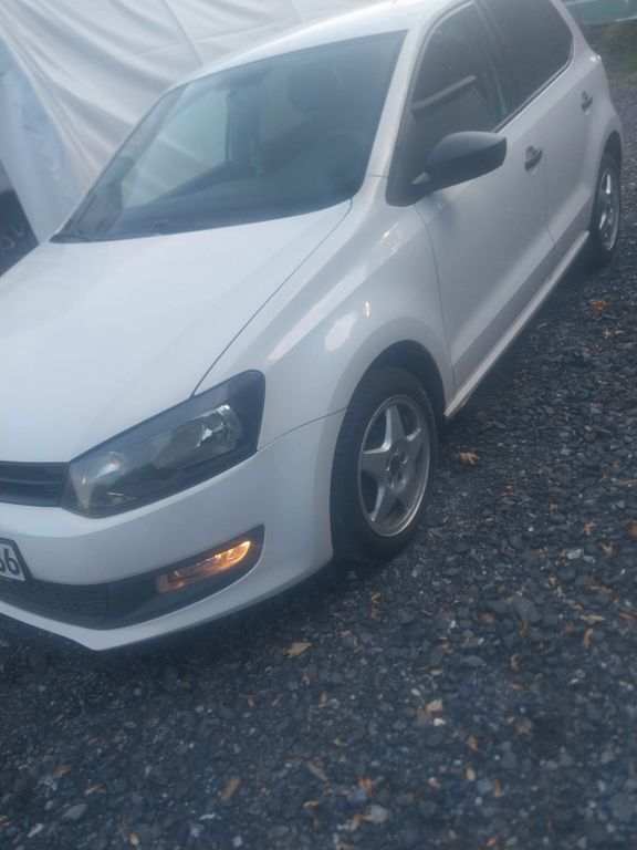 Polo