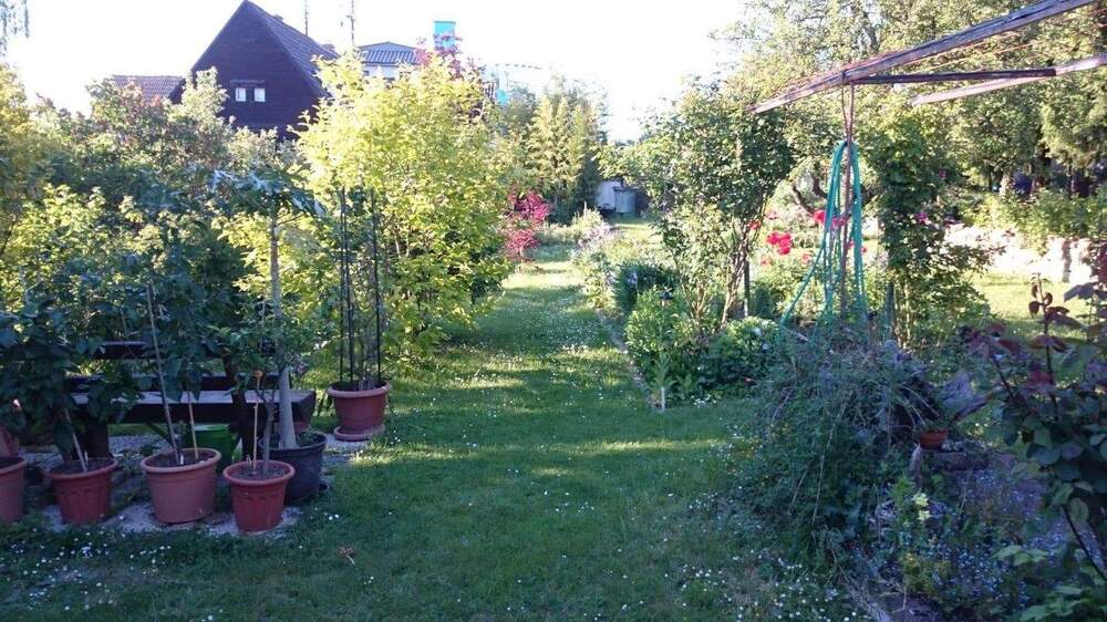 hausvermietung 4 zimmer