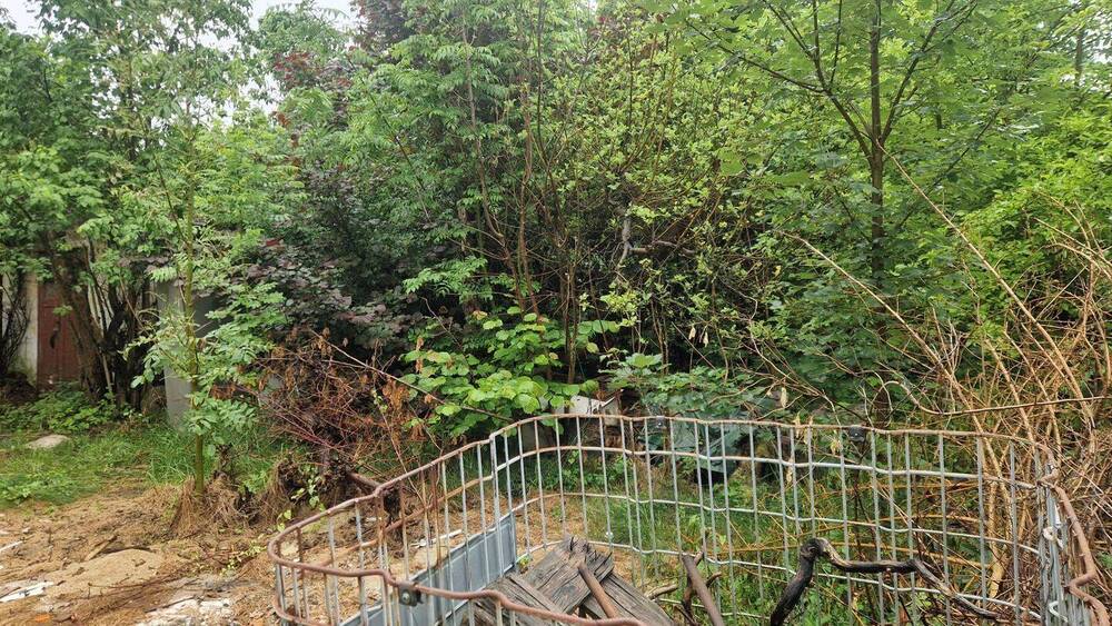Einfamilienhaus Reichenbach Reichenbach - 4 Zimmer, 120 m&sup2;, 101.000&euro; | Angebot:26833519