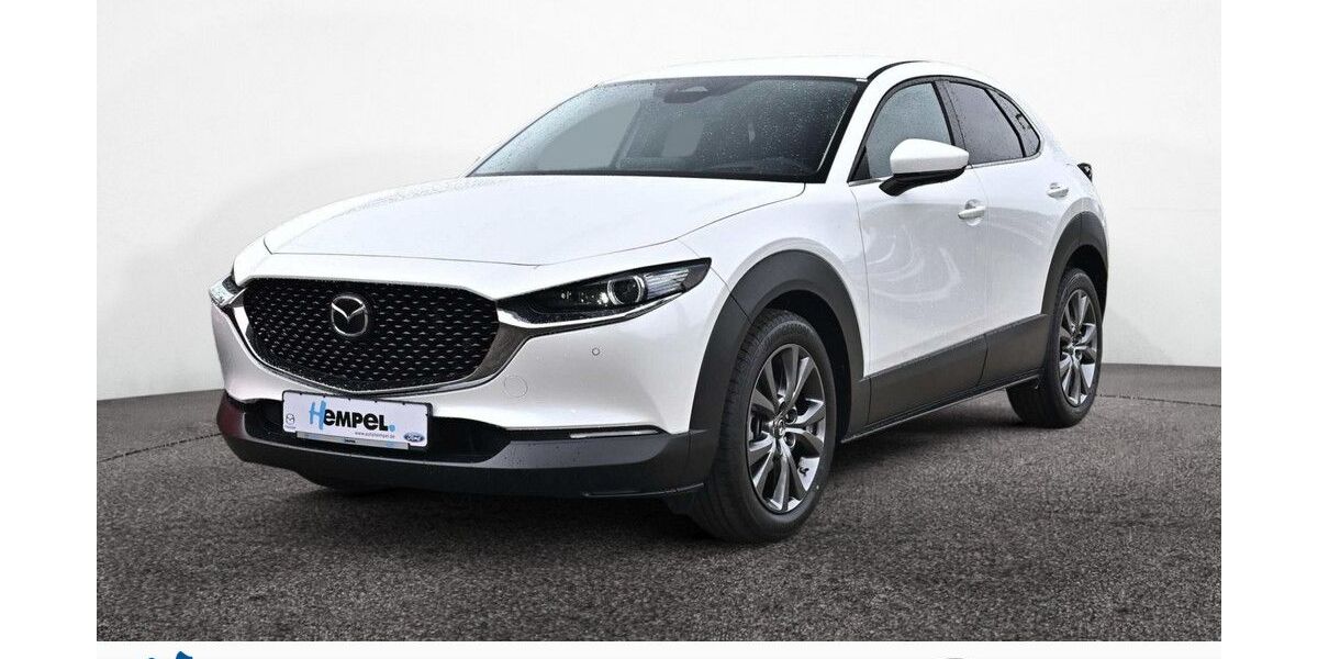 Mazda CX-30 1.500 km 30.790 € Braunschweig 38114