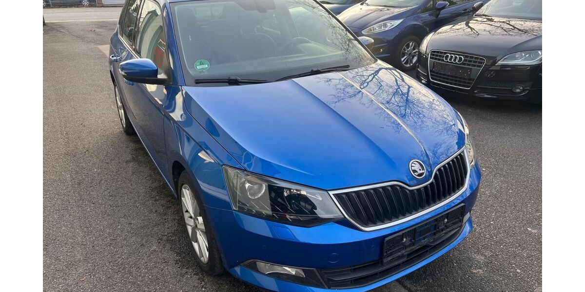 Skoda Fabia 98.000 km 8.499 &euro; Recklinghausen 45663