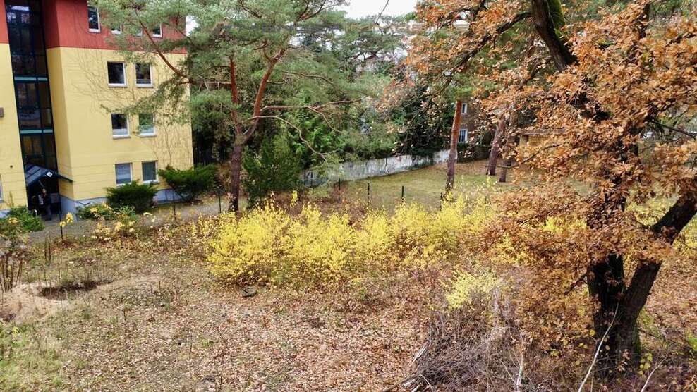 Grundstück zu verkaufen in Potsdam 245.000 € 460 m²