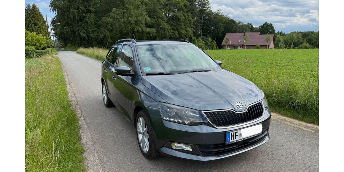 Skoda Fabia 89.000 km 9.250 &euro; Herford 32051