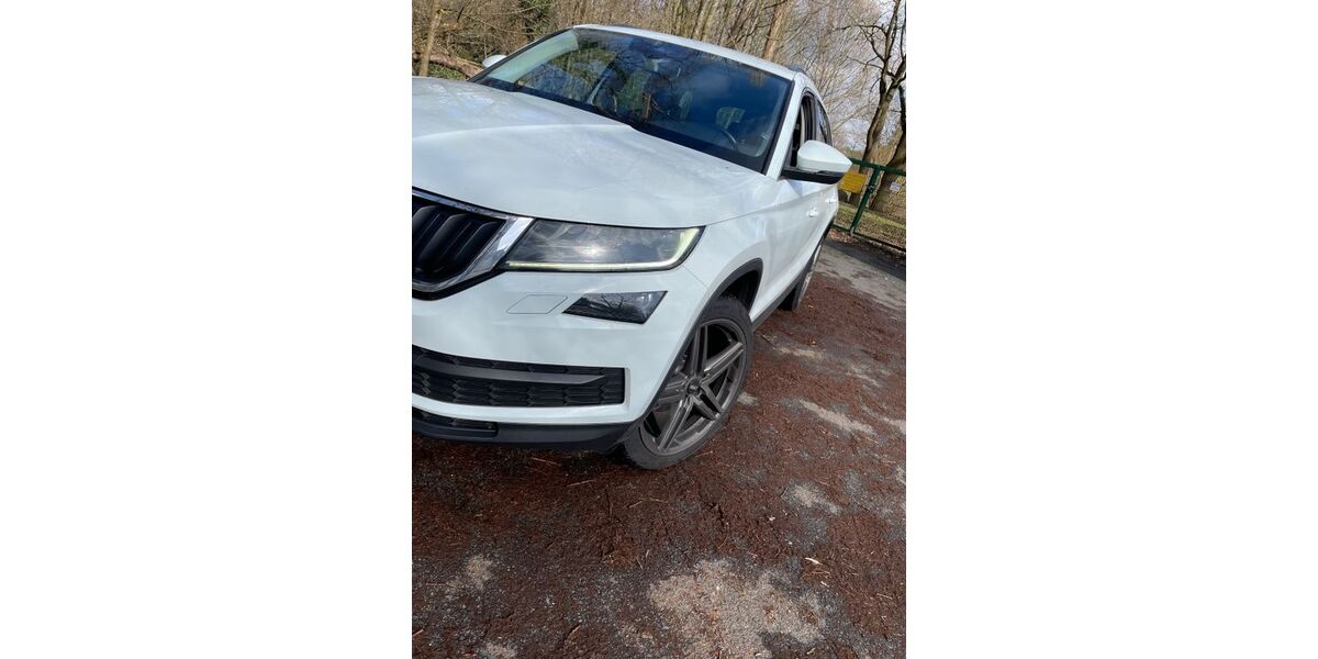 Skoda Kodiaq 200.000 km 14.999 &euro; Hamburg 22159