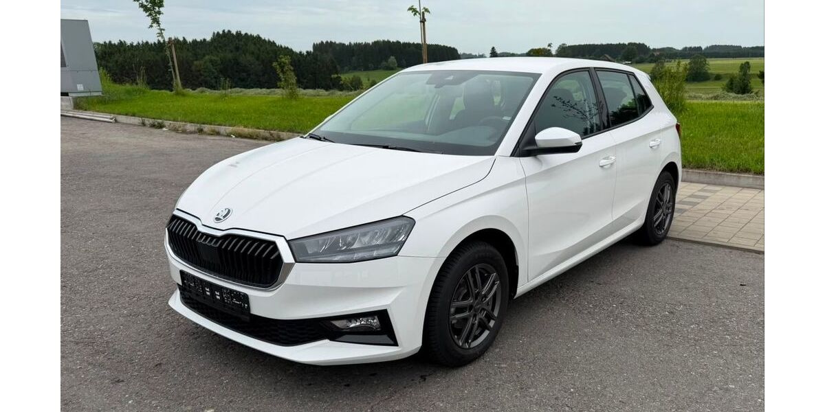 Skoda Fabia 2.500 km 15.790 &euro; Kißlegg-Zaisenhofen 88353