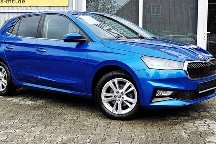 Skoda Fabia 12.890 km 19.680 &euro; Tätendorf 29576