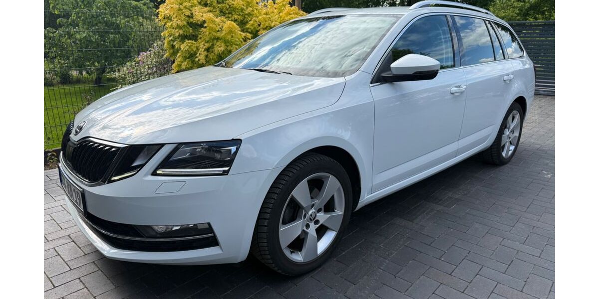 Skoda Octavia 110.000 km 15.500 &euro; Cottbus 03048