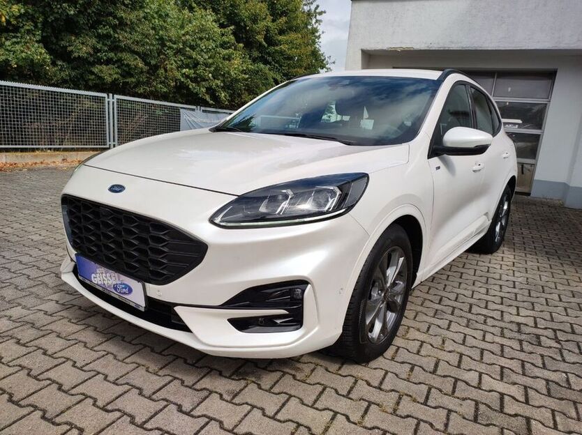 Kuga