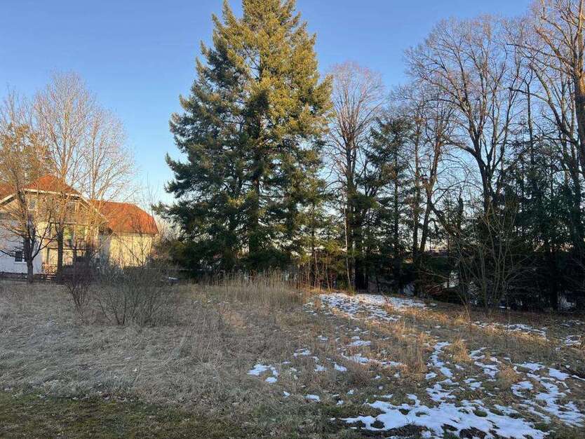 Grundstück zu verkaufen in Braunlage 111.000 € 1837 m²