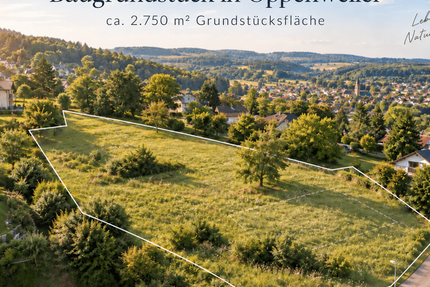 Großzügiges Grundstück mit ca. 2.750 m² in Oppenweiler – davon ca. 1.500 m² Bauland - Grundstück Oppenweiler | Angebot:27460327