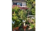 Einfamilienhaus Bad Schussenried - 7 Zimmer, 150 m&sup2;, 199.000&euro; | Angebot:26020450