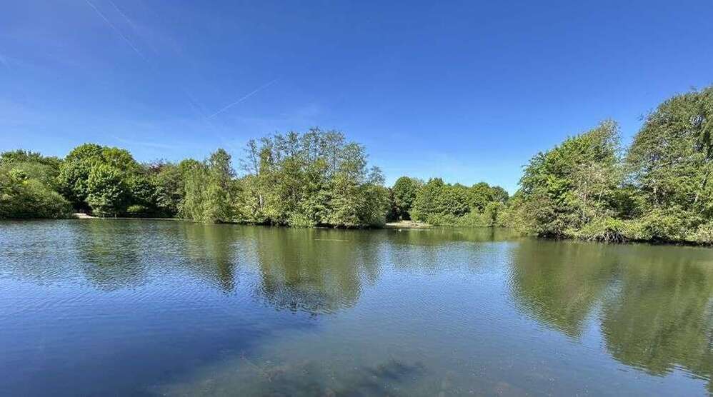 Wohnung zum Kaufen in Hamburg 365.000 € 82 m²