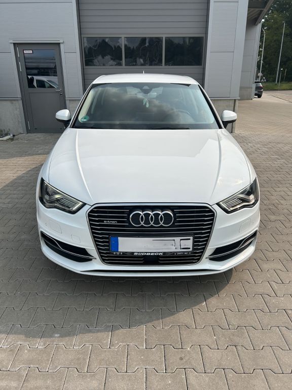 A3