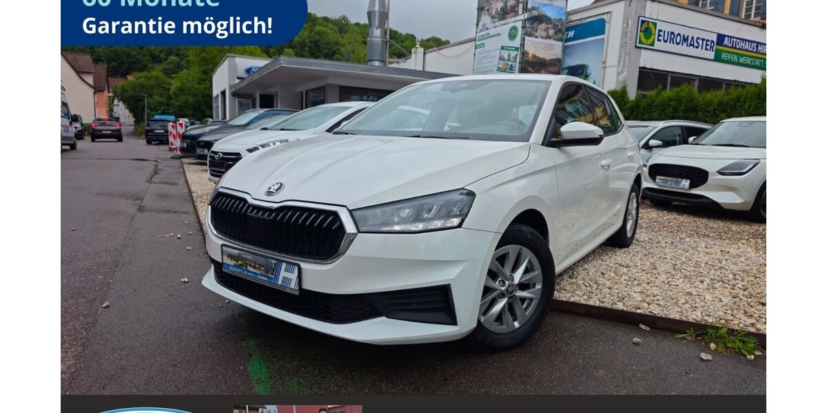 Skoda Fabia 52.979 km 14.900 &euro; Schwäbisch Hall 74523
