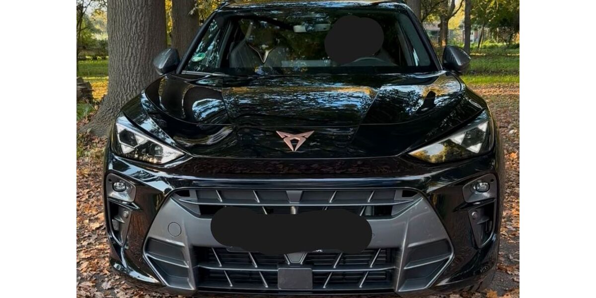 Cupra Terramar 7.000 km 41.900 &euro; Hanau 65369