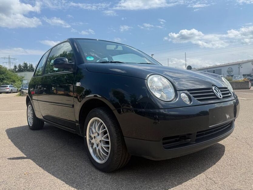 Lupo