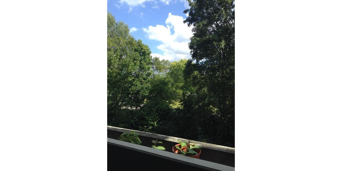 Zwei möblierte Apartments mit Balkon - ideal für Kapitalanleger 1 zimmer