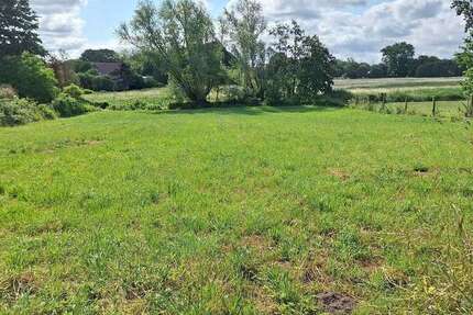 Grundstück Greifswald Groß Schönwalde - 265.000&euro; | Angebot:26809676