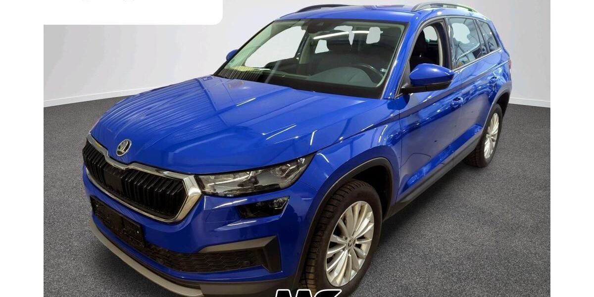 Skoda Kodiaq 166.496 km 21.950 &euro; Steinbach-Hallenberg OT Herges-Hallenberg 98587