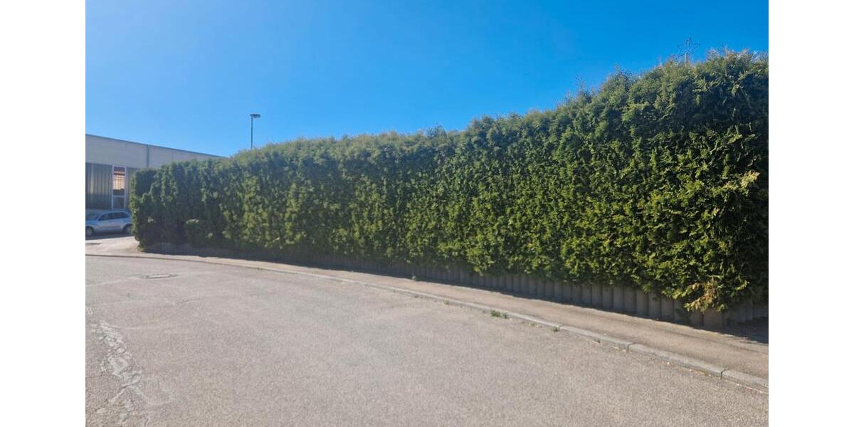 Einfamilienhaus Aldingen - 13 Zimmer, 292 m&sup2;, 530.000&euro; | Angebot:26398109