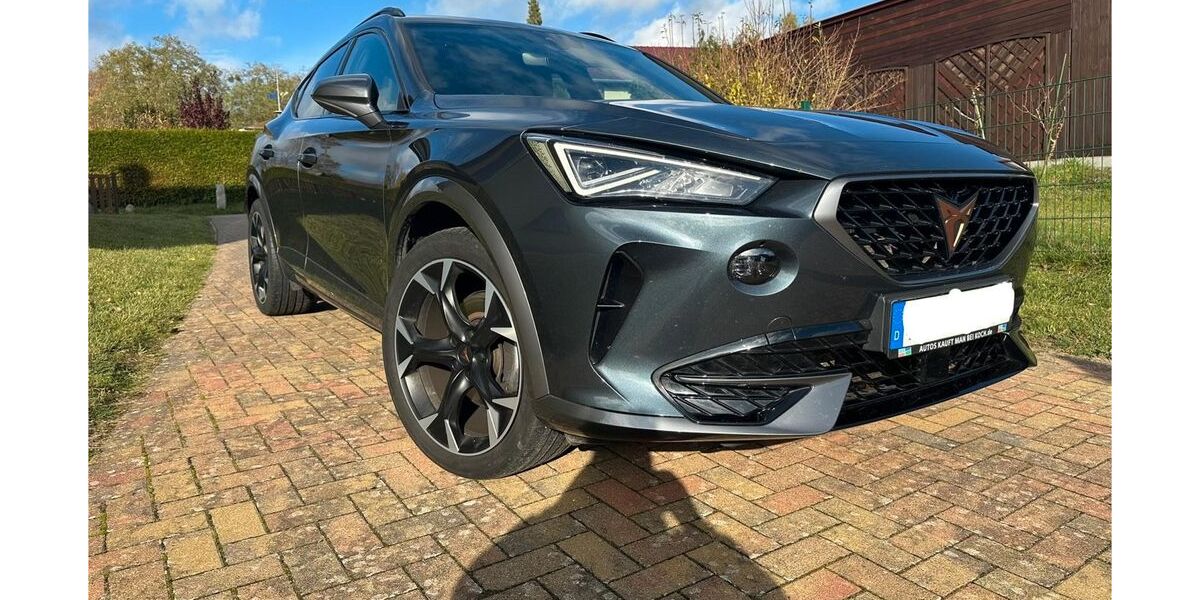Cupra Formentor 73.000 km 22.990 &euro; Milmersdorf 17268