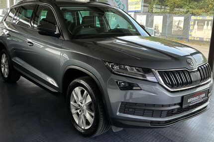 Skoda Kodiaq 250.000 km 17.100 &euro; Bremen 28201