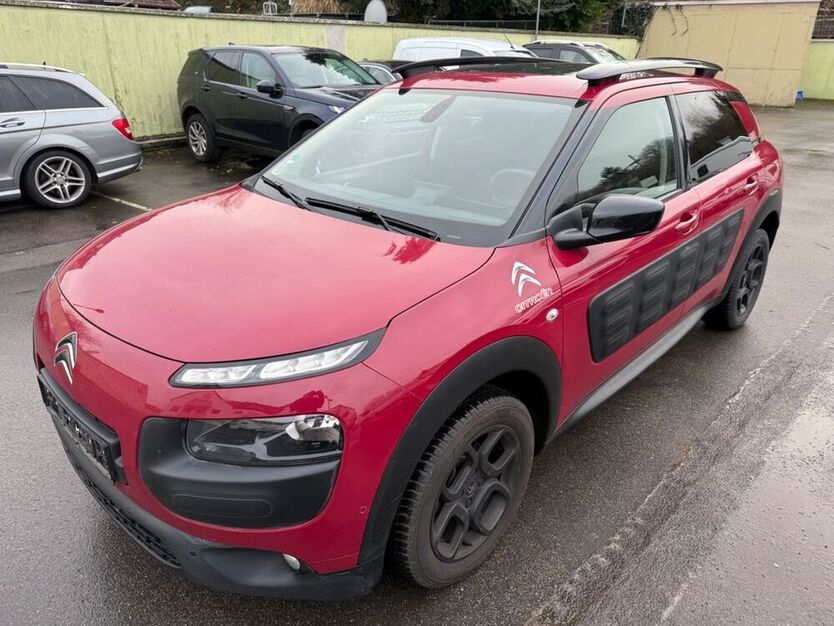C4 Cactus