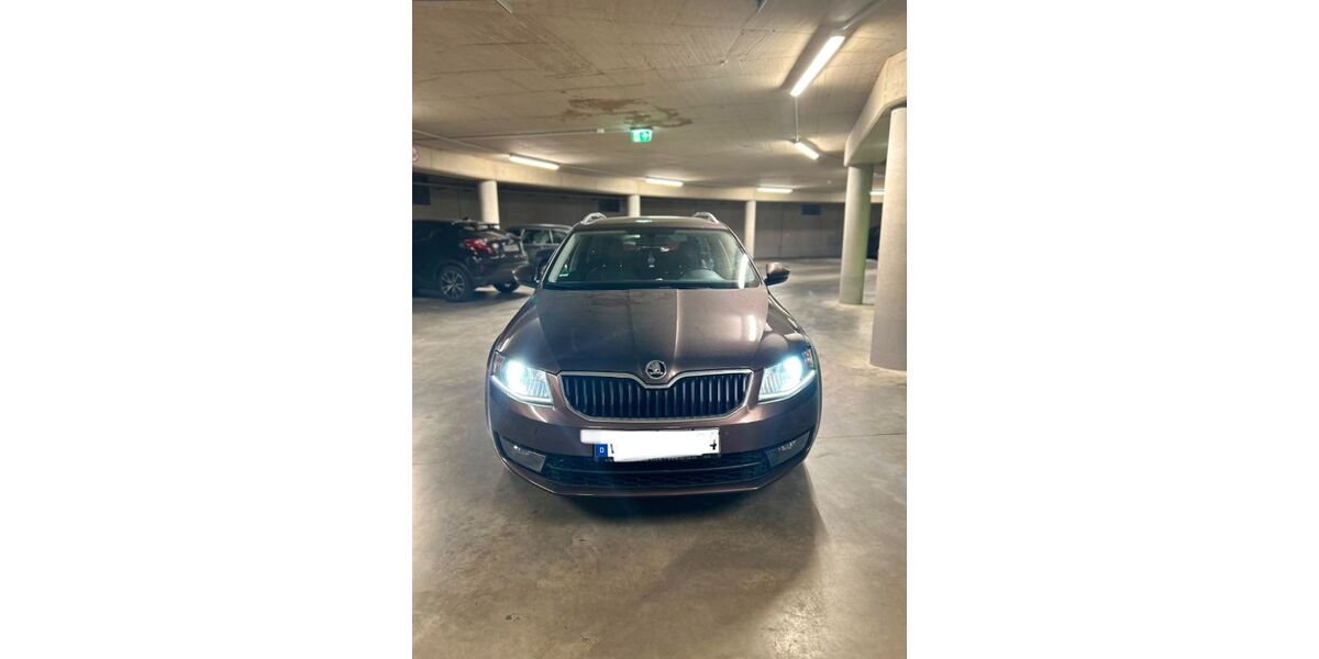 Skoda Octavia 208.000 km 8.500 &euro; Lohne 49393