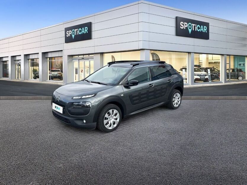 C4 Cactus