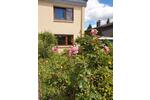 Erdgeschoßwohnung Öhringen - 2 Zimmer, 50 m&sup2;, 590&euro; | Angebot:26216359