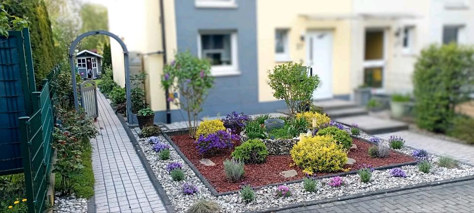 Reihenhaus Dortmund Brackel - 4 Zimmer, 132 m&sup2;, 497.000&euro; | Angebot:26238193