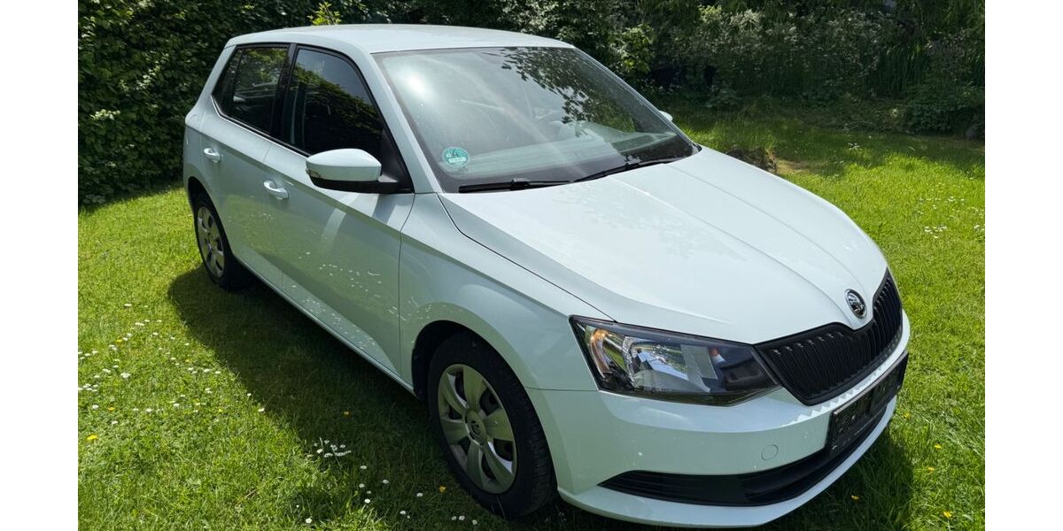 Skoda Fabia 20.576 km 8.500 &euro; Siegburg 53721
