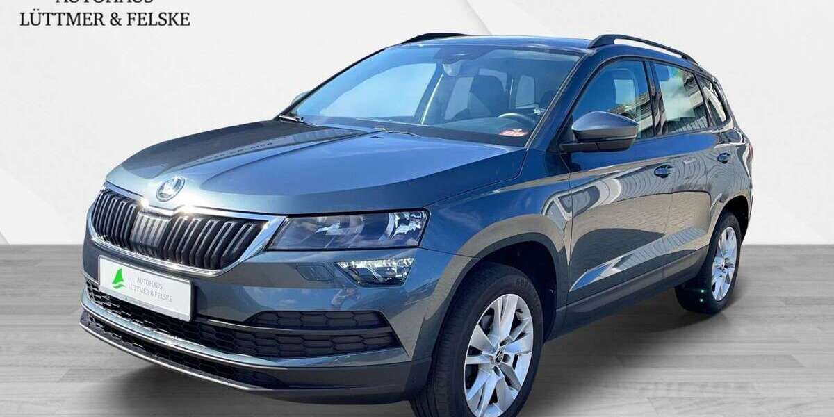 Skoda Karoq 83.600 km 19.880 &euro; Schleswig 24837