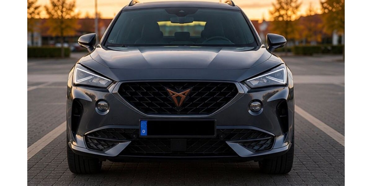 Cupra Formentor 123.000 km 21.000 &euro; Braunschweig 38126