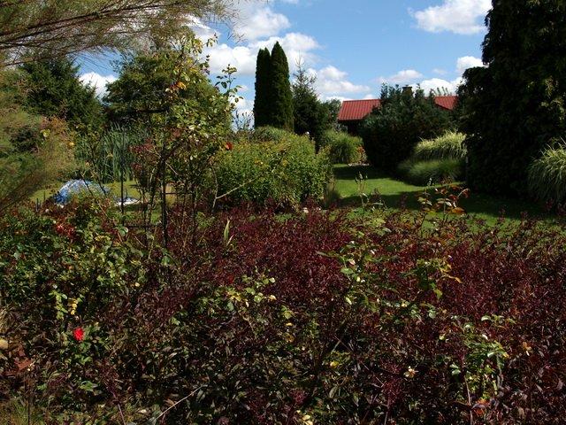 Einfamilienhaus Arendsee (Altmark) - 16 Zimmer, 492 m&sup2;, 850.000&euro; | Angebot:26777428