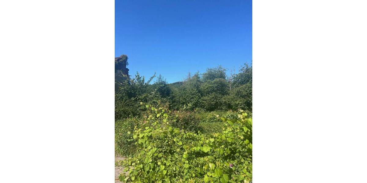 Grundstück Wadern Büschfeld - 130.000&euro; | Angebot:25663162