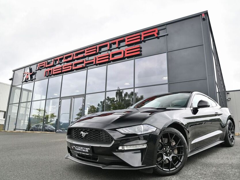 Mustang