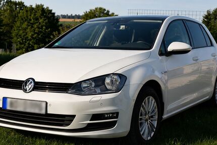 VW Golf 125.113 km 13.350 &euro; Sankt Wolfgang 84427