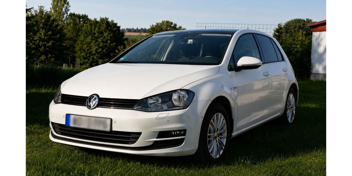 VW Golf 125.113 km 13.350 &euro; Sankt Wolfgang 84427