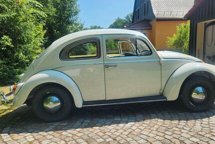 VW Käfer 25.335 km 11.500 &euro; Lohmen 01847
